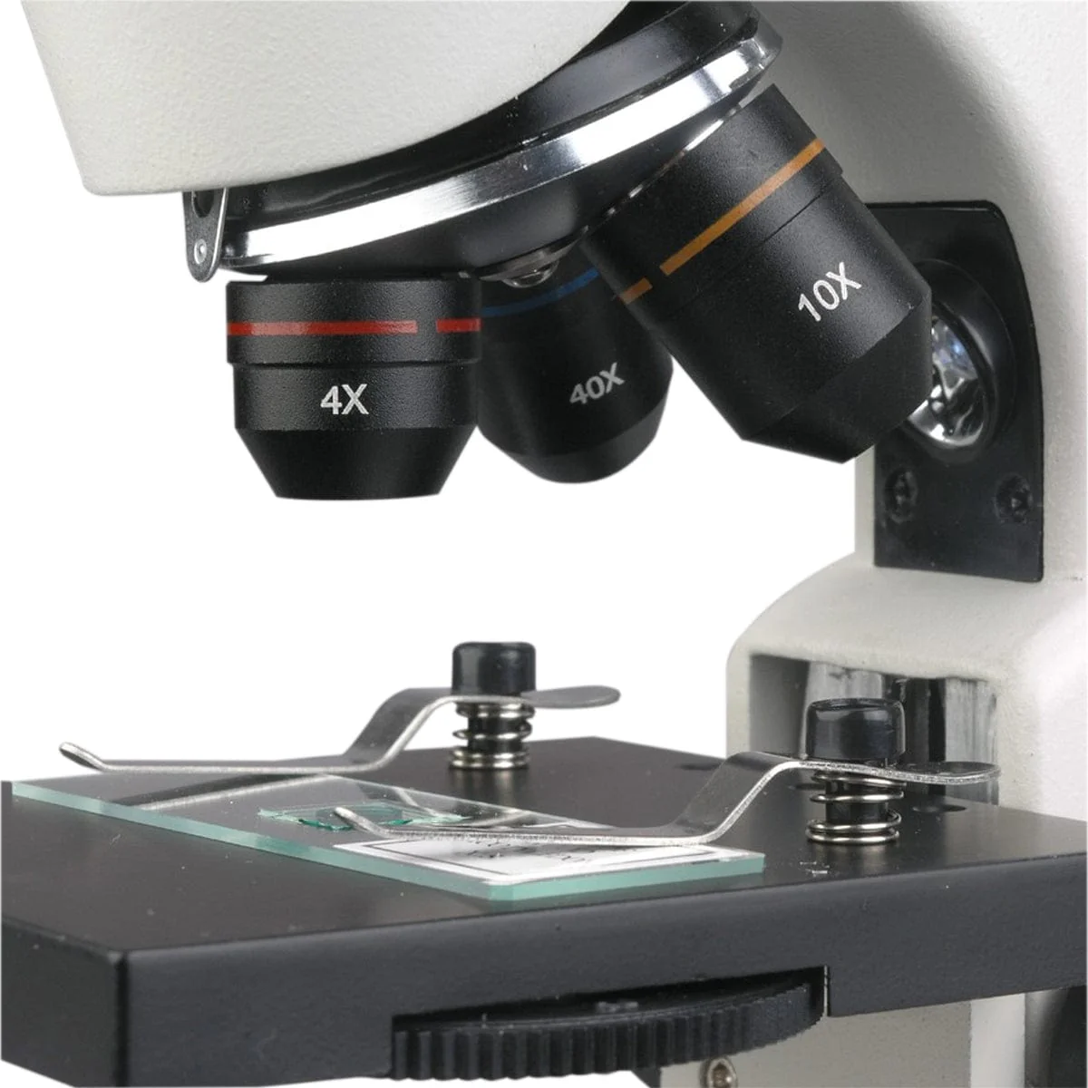Amscope M120C-2L-PB10-EXCL1 Monocular Compound Microscope for Kids – 40X–1000X Top & Bottom LED Illumination STEM Education Microscopes, Student Lab Microscopes, Biological Science Microscopes - Image 6