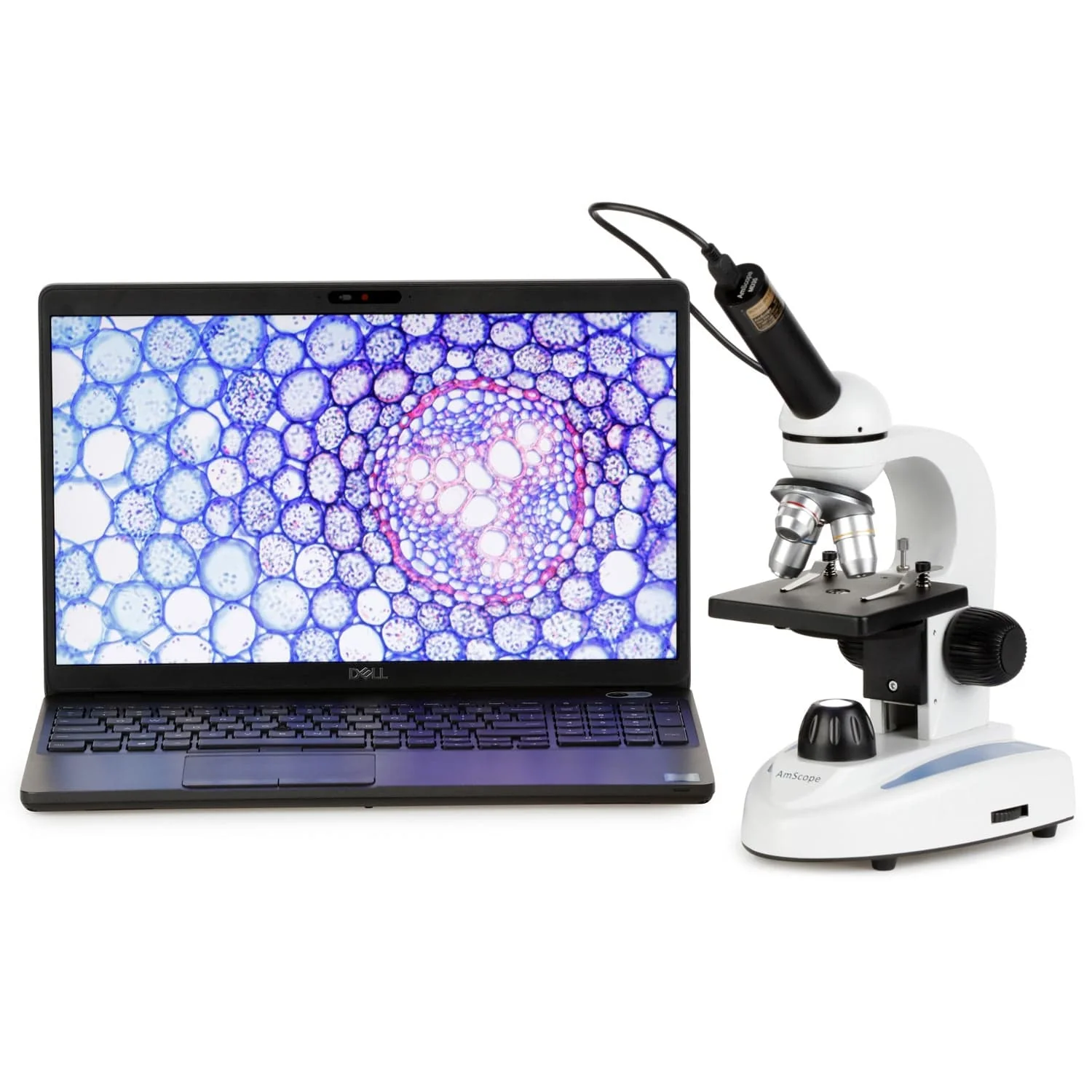 AmScope M149 Series Student Kids Metal Frame Glass Optics Biological Moncluar Compound Microscope 40X-1000X Magnification with USB Camera and Book - Image 2