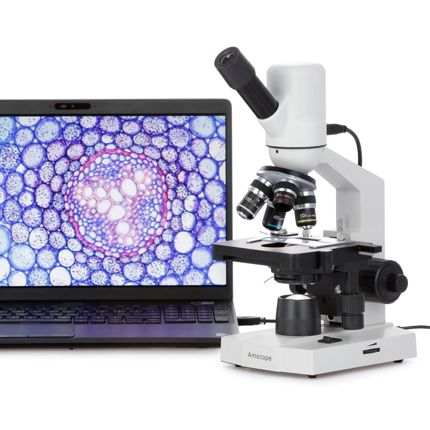 AmScope M220 Series Monocular Widefield Digital Integrated Compound Microscope 40X-1000X Magnification With Built In 3MP USB Camera - Image 3