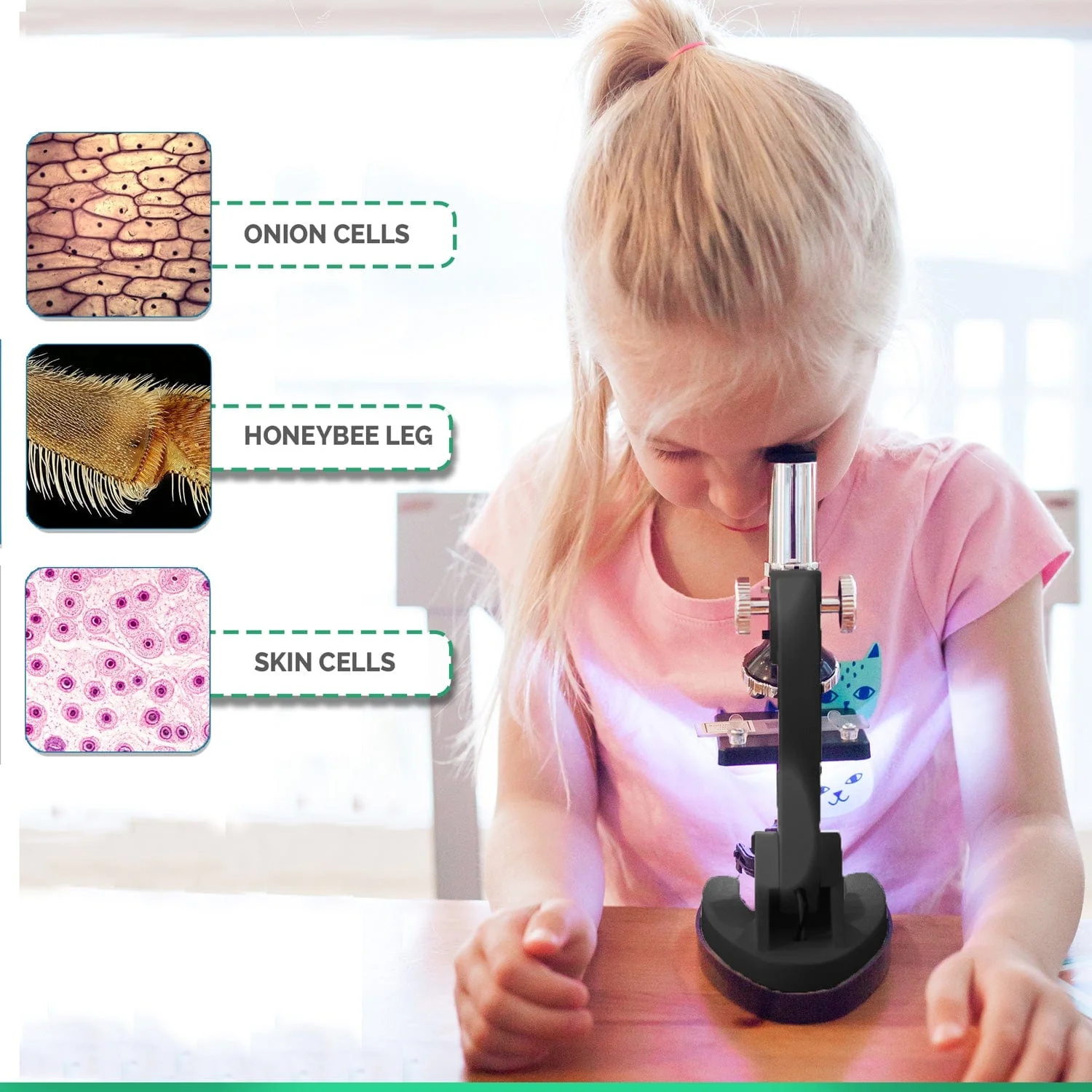 Amscope M30-ABS-KT51 Monocular Compound Microscope for Kids – Up to 1200X LED Illumination STEM Education Microscopes, Student Lab Microscopes, Biological Science Microscopes - Image 5