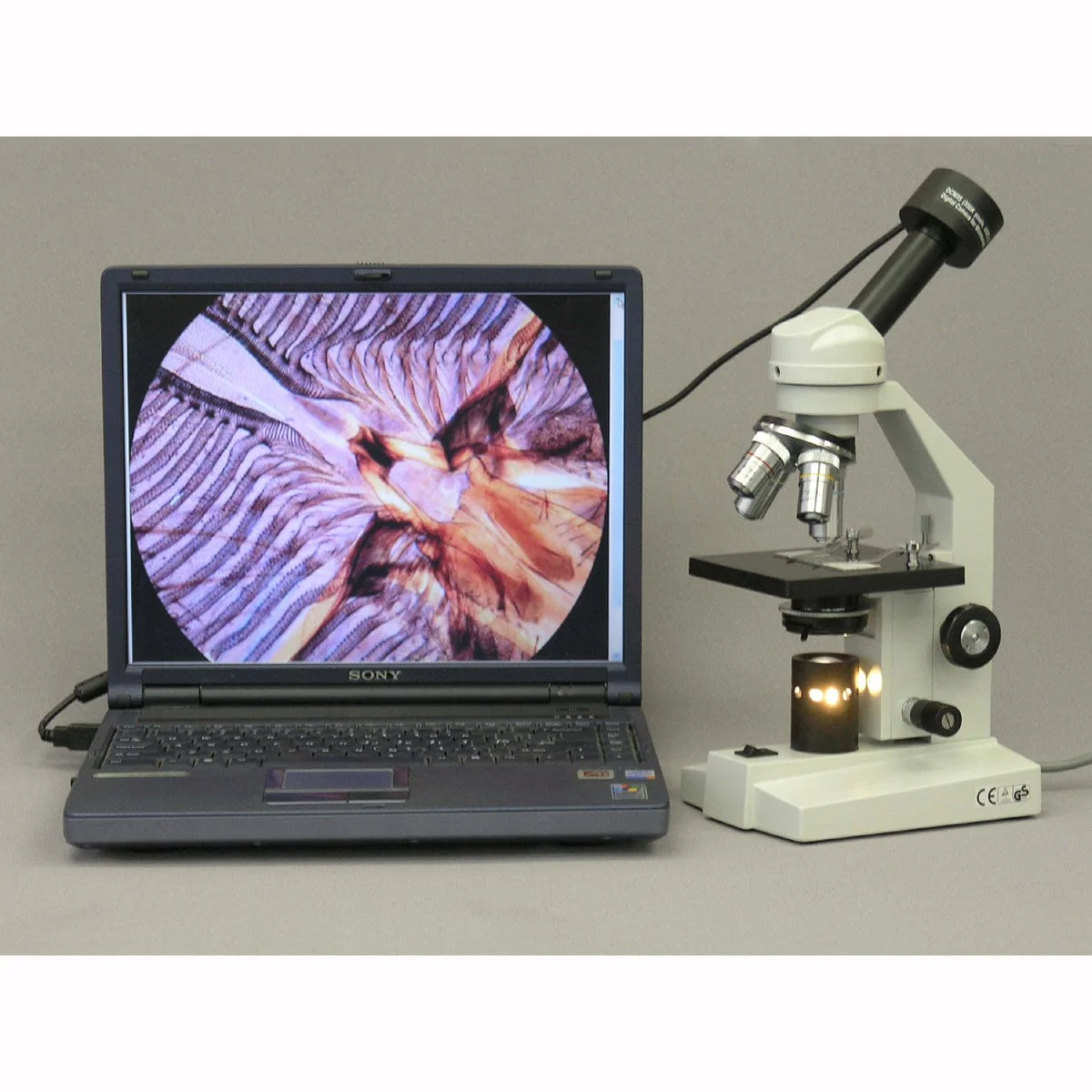 AmScope M500 Series Student Monocular Compound Microscope 40X-1600X Magnification with Digital Camera and Slides - Image 4