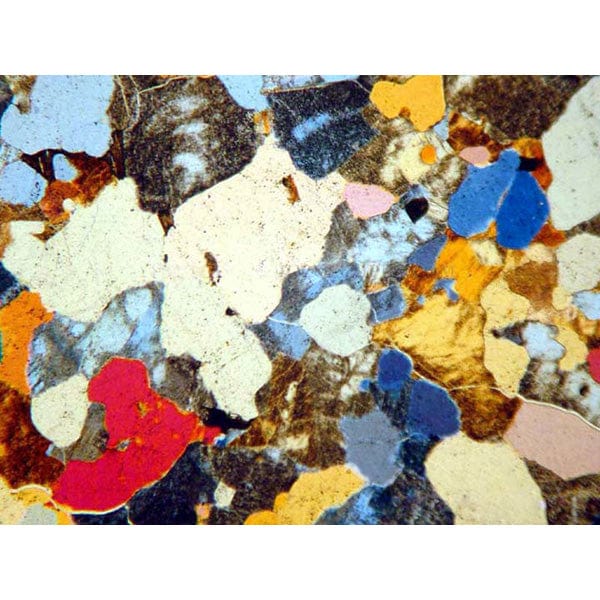 AmScope M500 Series Biological Student Cordless Metal Frame Polarizing Monocular Compound Microscope 40X-2500X Magnification with LED - Image 4