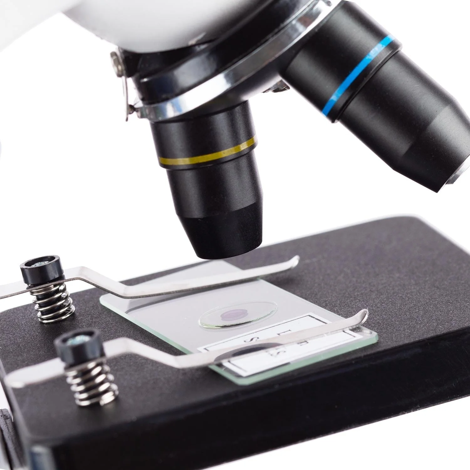 Amscope M50C-SE100-B14-WM Monocular Compound Microscope for Kids – 40X–1000X LED Illumination STEM Education Microscopes, Student Lab Microscopes, Biological Science Microscopes - Image 2