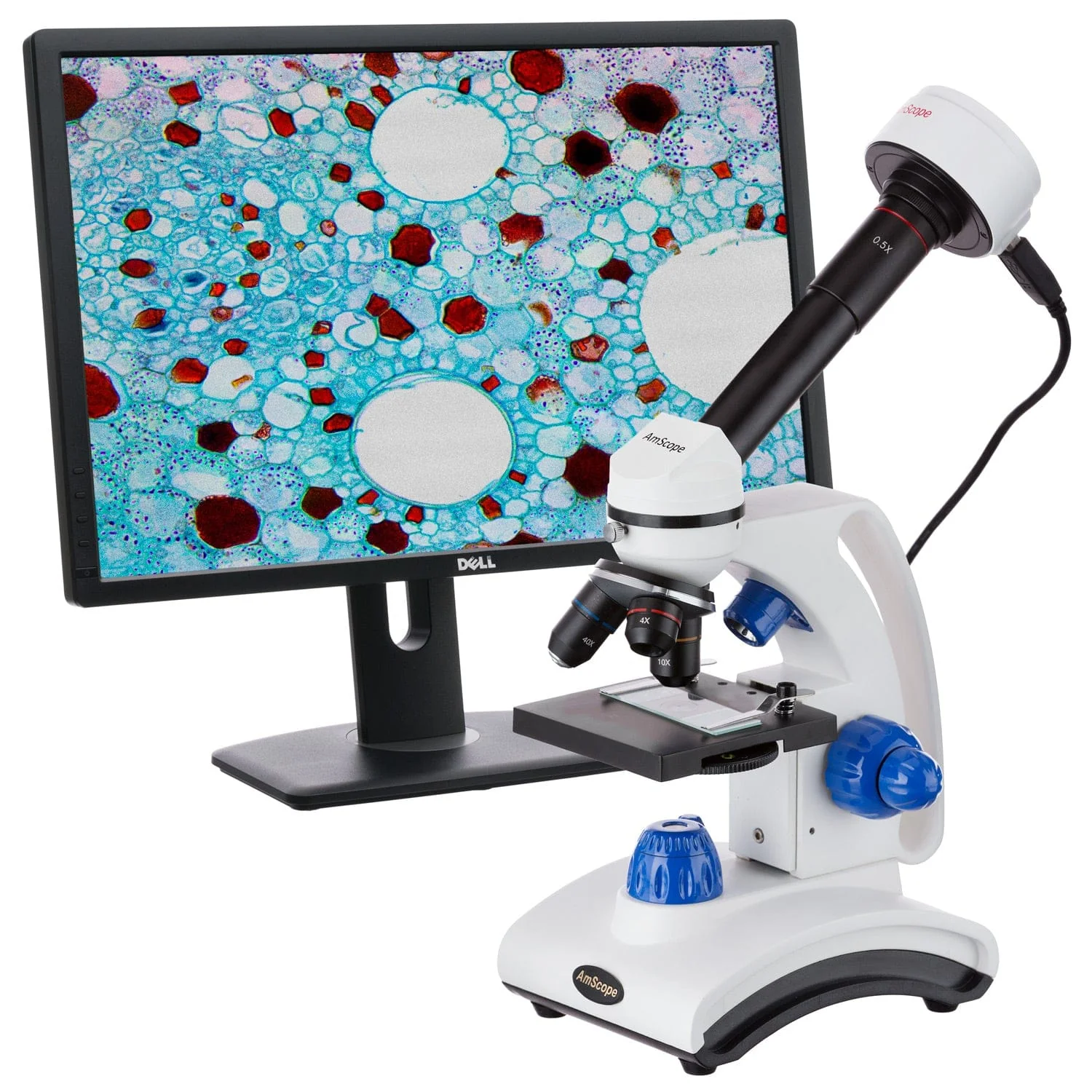 AmScope MC Series 10.0MP Digital Microscope Camera for Windows & Mac OS - Image 5