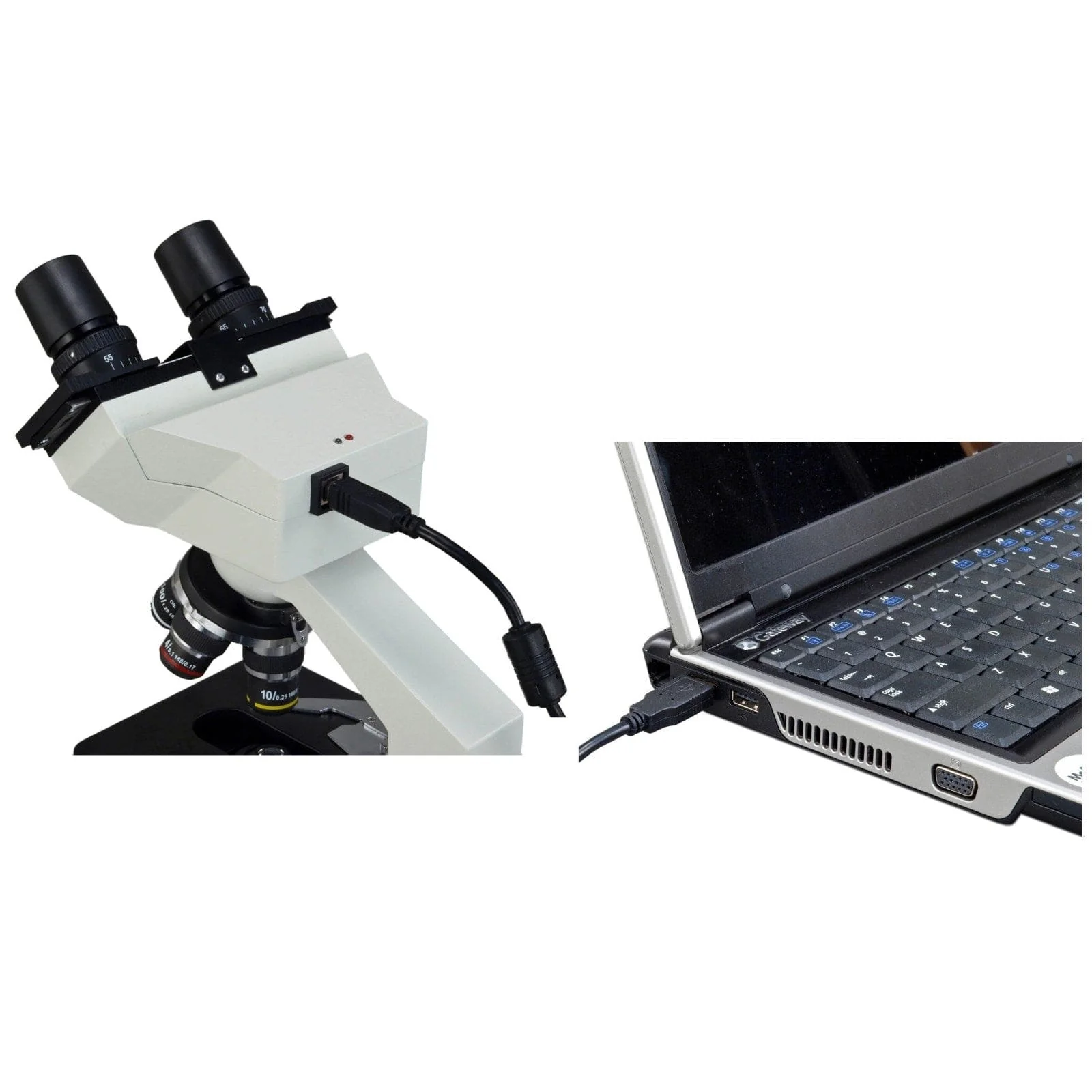40X-2000X 1.3MP Digital Integrated Microscope with LED Illumination - Image 6
