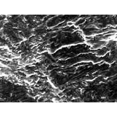 AmScope ME300 Series Metallurgical Trinocular Compound Microscope 40X-400X Magnification with 8MP USB 2.0 Camera - Image 7