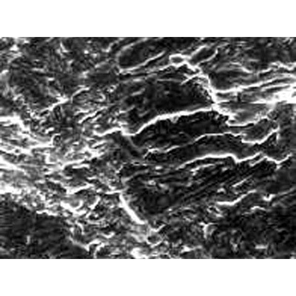 AmScope ME300 Series Metallurgical Trinocular Compound Microscope 40X-640X Magnification with 8MP USB 2.0 Camera - Image 7