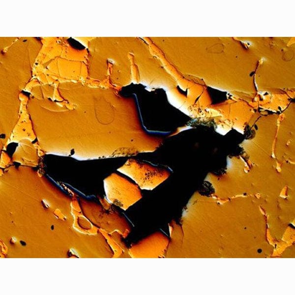 AmScope ME300 Series Metallurgical Trinocular Compound Microscope 40X-1000X Magnification with - Image 8