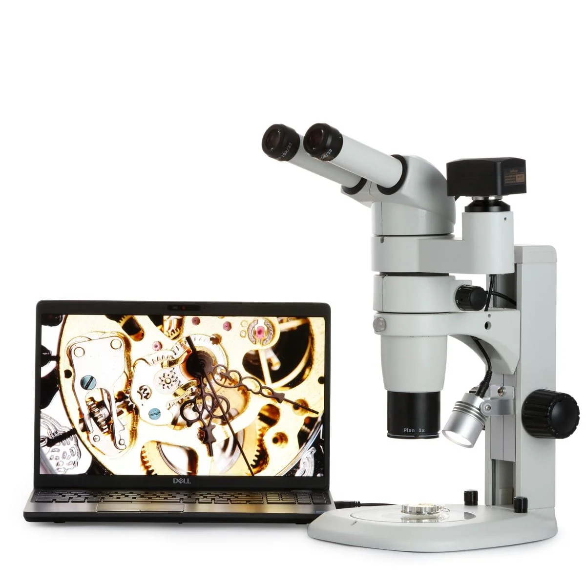 AmScope PM240 Series Zoom Trinocular Stereo Microscope 8X-80X Magnification on Track Stand with Common Main Objective(CMO) and 1.3MP Camera