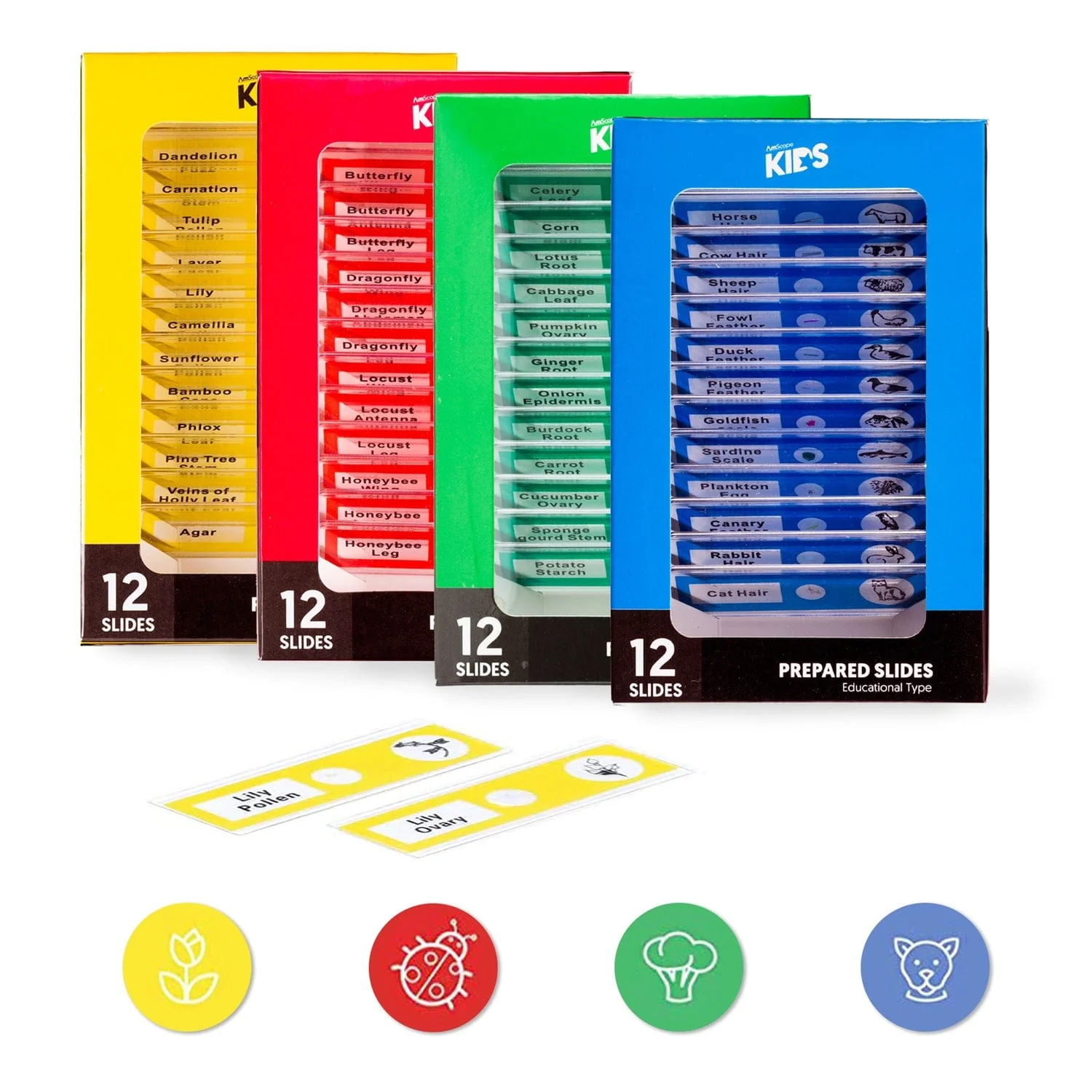 IQCrew by AmScope 48pc Color-coded Prepared Plastic Microscope Slides with Plant, Insect, Mammal, Bird and Fish Specimens