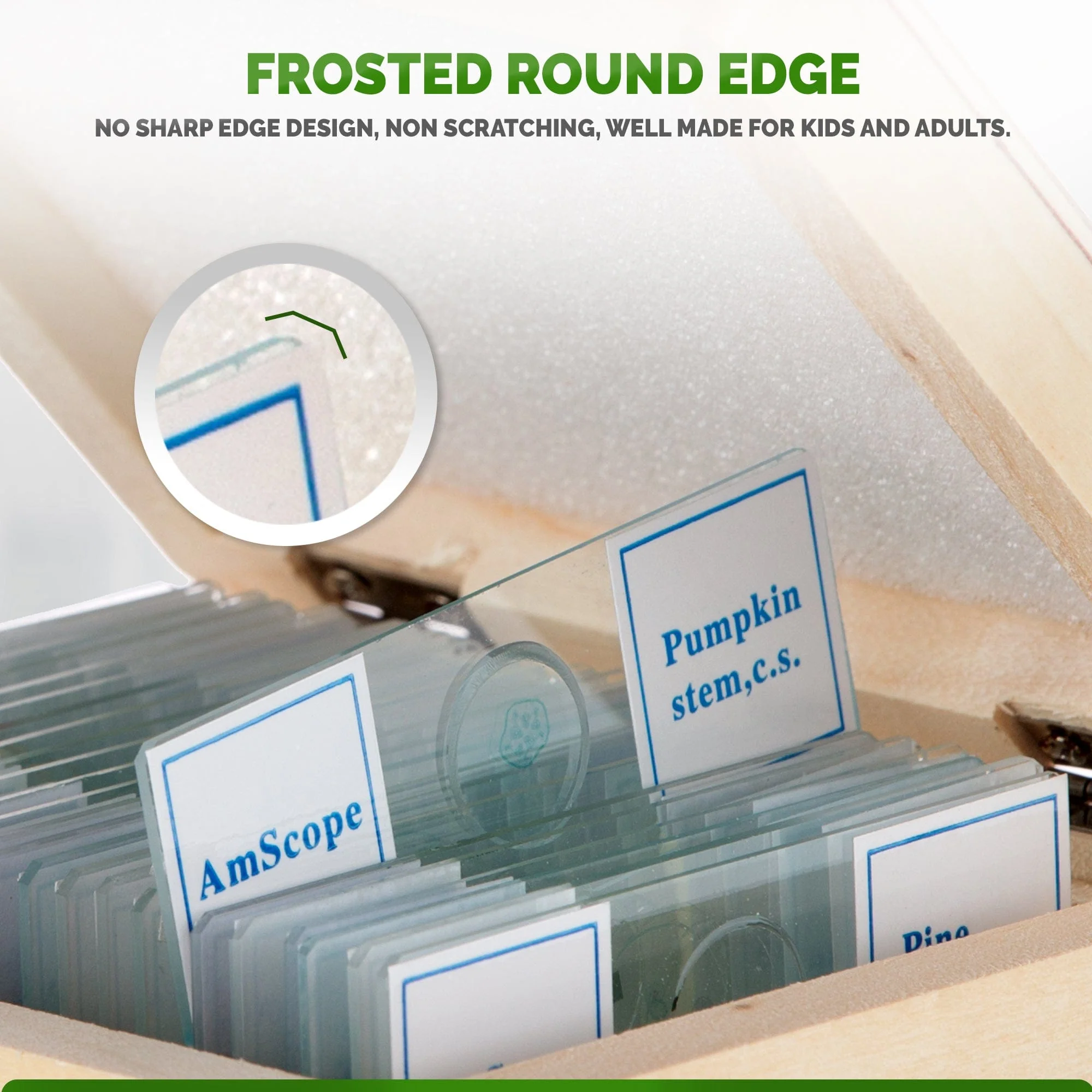 AmScope 25pc Glass Prepared Microscope Slides in Wood Case with Plant, Fungus, Insect and Mammal Specimens - Image 2