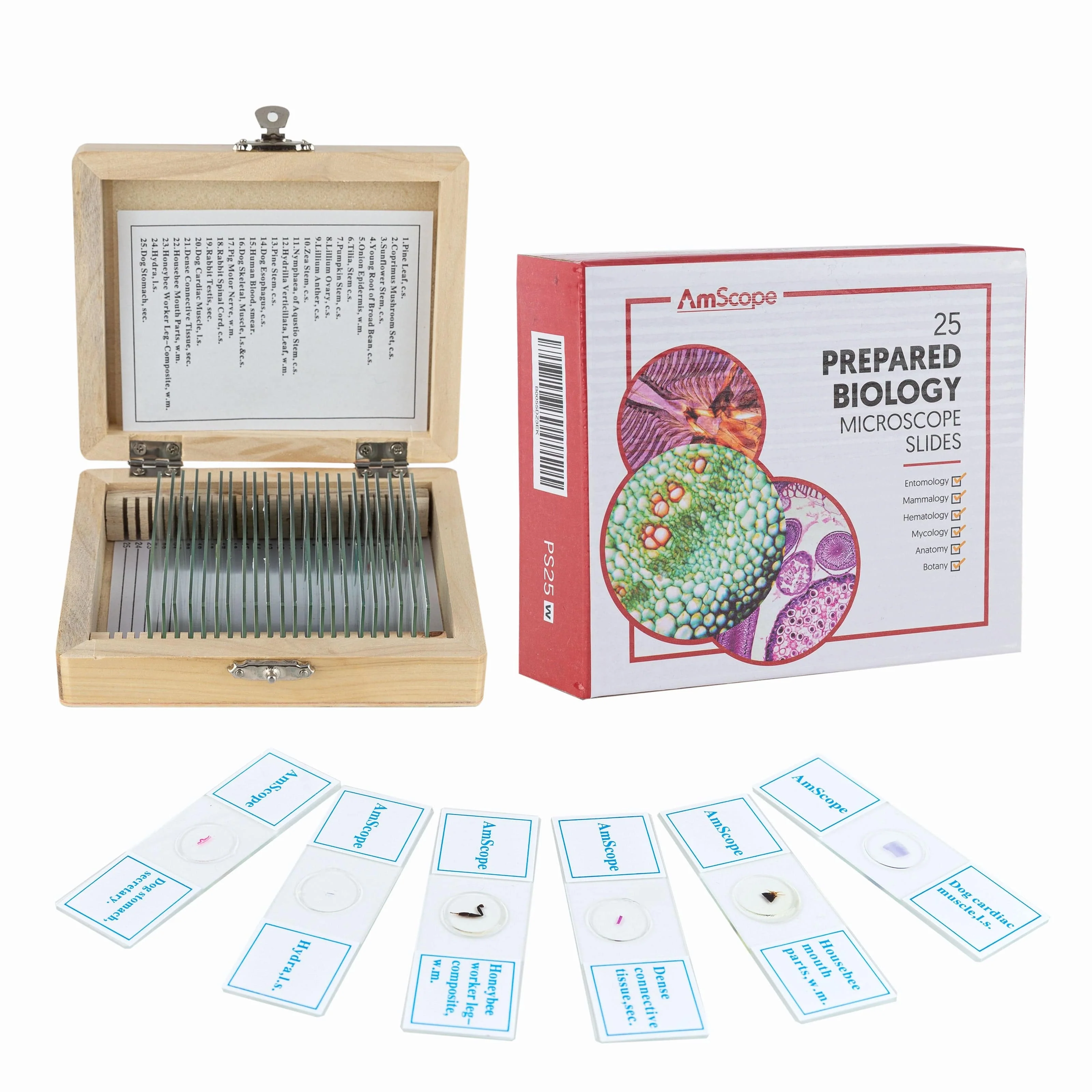 AmScope 25pc Glass Prepared Microscope Slides in Wood Case with Plant, Fungus, Insect and Mammal Specimens - Image 6