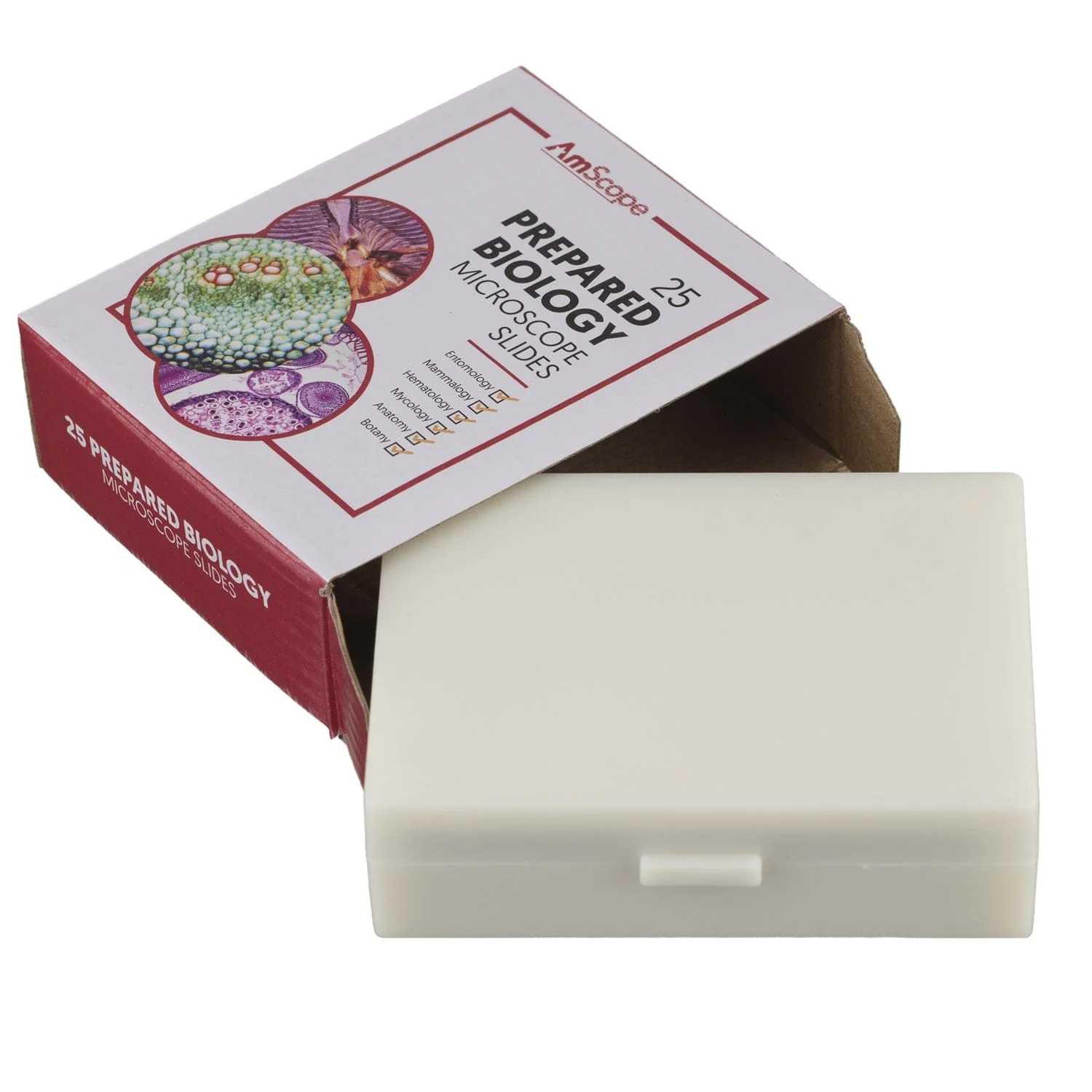 AmScope 25pc Prepared Glass Microscope Slides in Plastic Case with Plant, Fungus, Insect and Mammal Specimens - Image 3
