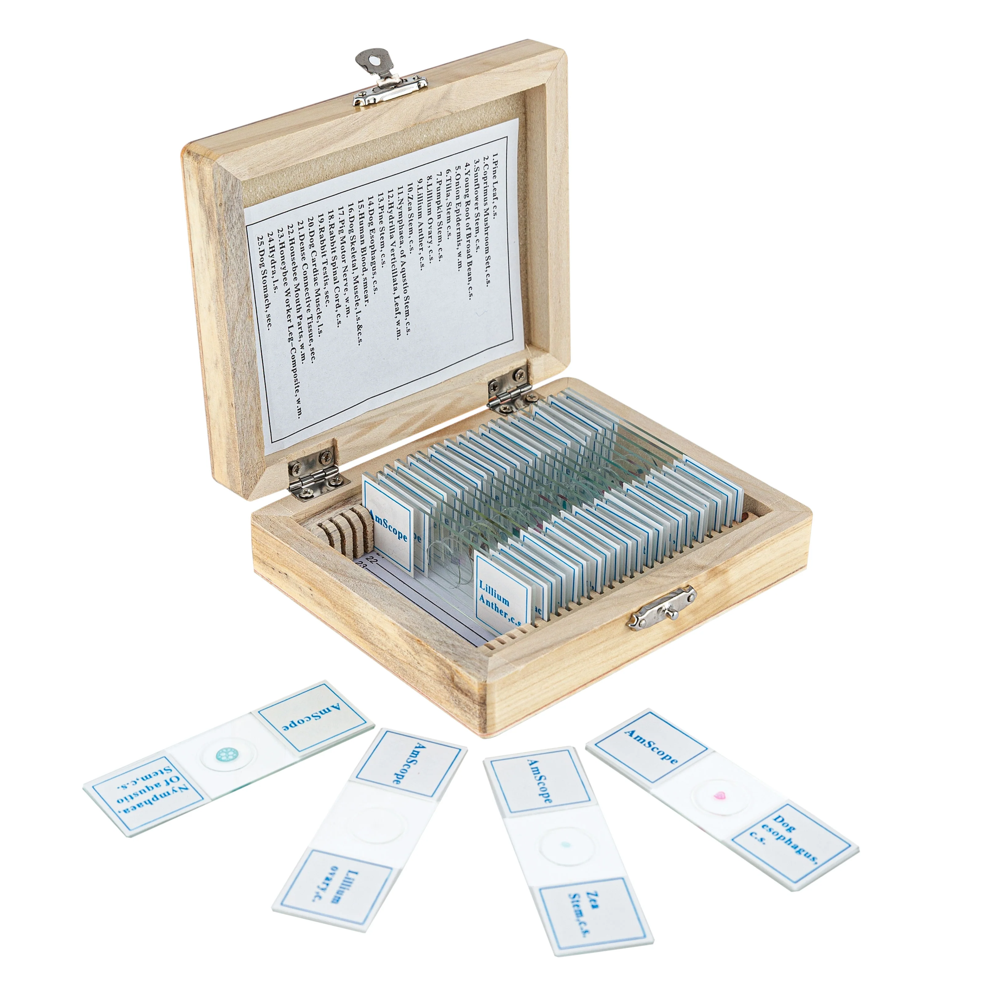 AmScope PS25W 25 Glass Prepared Microscope Slides with Wooden Box - Image 3