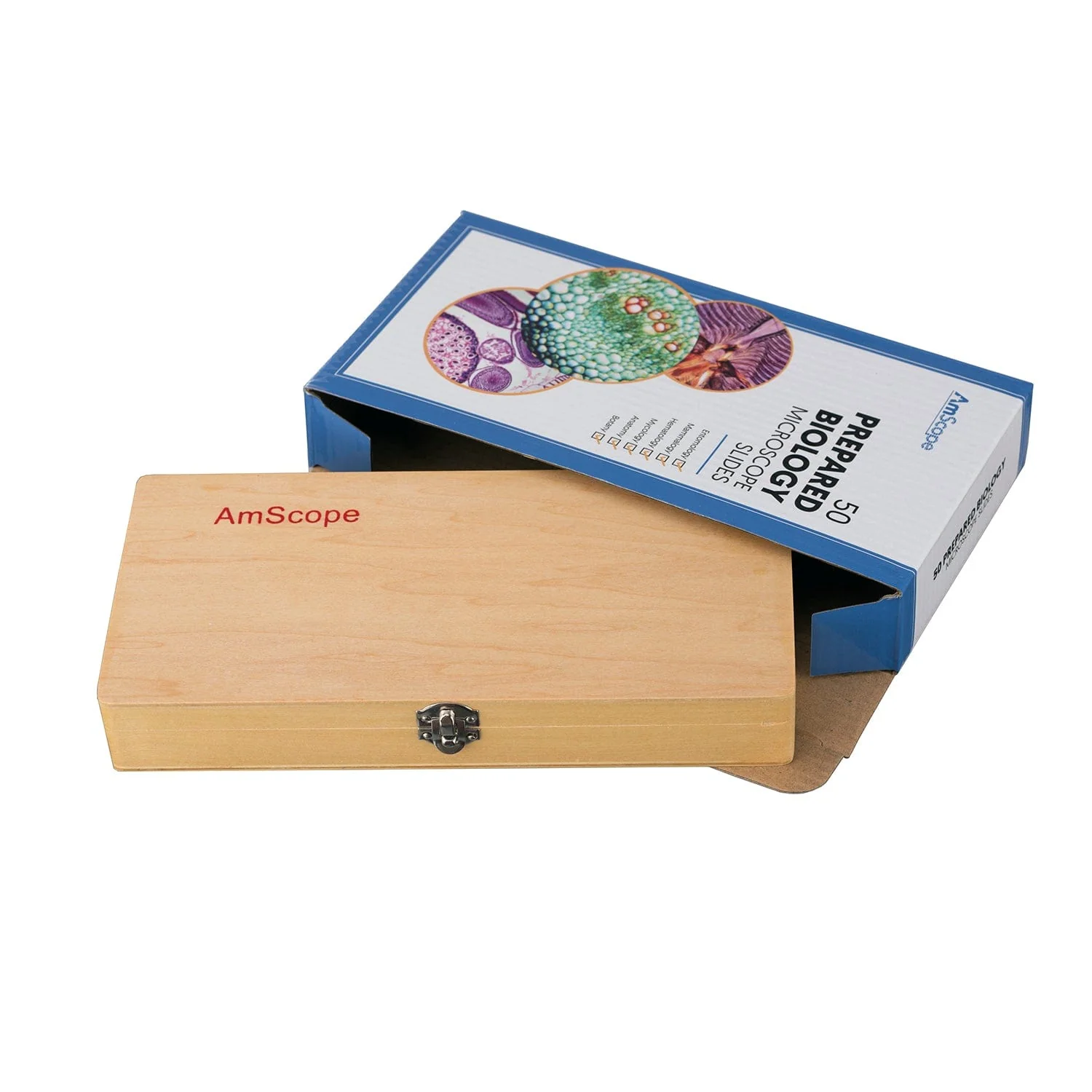 AmScope 50pc Prepared Glass Microscope Slides in Wood Case with Plant, Fungus, Insect and Mammal Specimens - Image 3