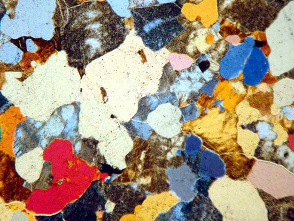 AmScope PZ200 Series Polarizing Trinocular Compound Microscope 40X-640X Magnification - Image 7