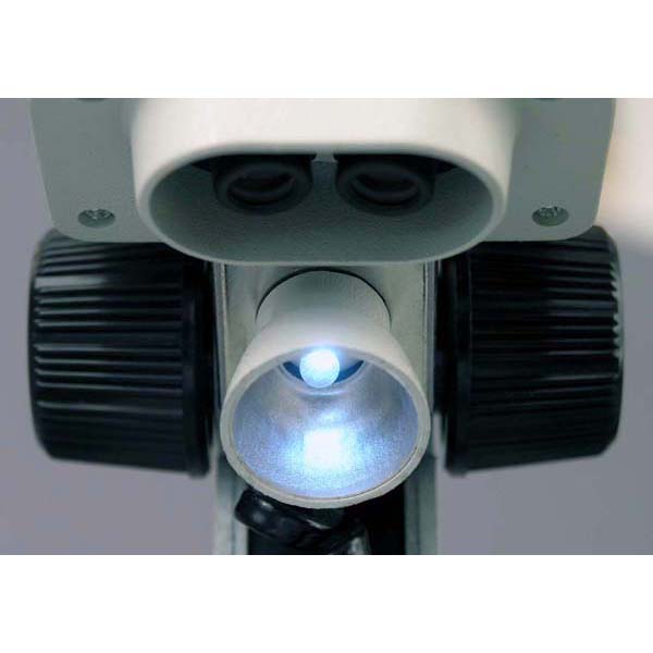 Amscope SE100X-LED Stereo Microscope for Kids Industrial Inspection, PCB & Soldering, Gem & Jewelry - Image 3