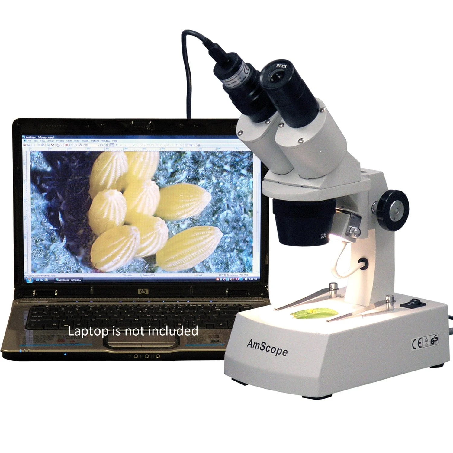 AmScope SE305 Series Compact Multi-Lens Binocular Stereo Microscope 10X-60X Magnification with Angled Head, Metal Track Stand, Top & Bottom Halogen Lighting, 2MP Digital Eyepiece Camera - Image 5