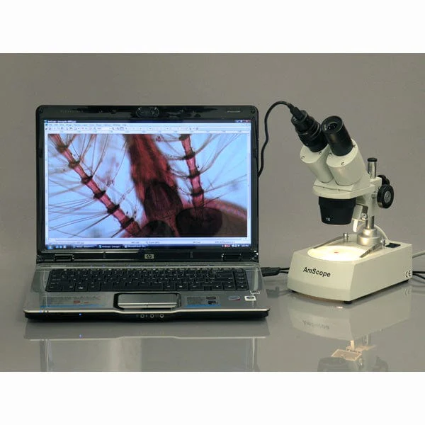 AmScope SE305 Series Compact Multi-Lens Binocular Stereo Microscope 10X-60X Magnification with Angled Head, Metal Pillar Stand, Top & Bottom Halogen Lighting, 1MP Digital Eyepiece Camera - Image 5