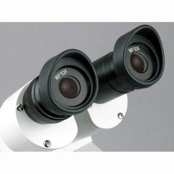 AmScope Outlet SE306 Series Compact Multi-Lens Binocular Stereo Microscope 20X-40X Magnification with Reverse Angled Head, Metal Track Stand, Top & Bottom Halogen Lighting - Image 5