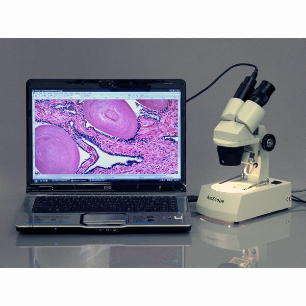 AmScope SE306 Series Compact Multi-Lens Binocular Stereo Microscope 20X-80X Magnification with Reverse Angled Head, Metal Track Stand, Top & Bottom Halogen Lighting, 1MP Digital Eyepiece Camera - Image 6