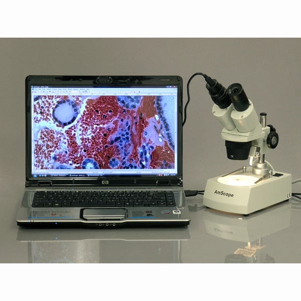 AmScope SE306 Series Compact Multi-Lens Stereo Microscope with Angled Head 20X-80X Magnification Metal Pillar Stand, Top & Bottom LED Lighting - Image 5