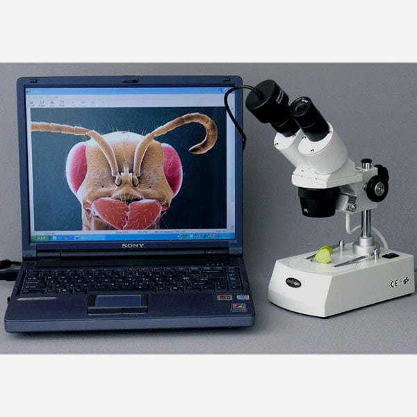 AmScope SE306 Series Compact Multi-Lens Binocular Stereo Microscope 20X-80X Magnification with Angled Head, Metal Pillar Stand, Top & Bottom Halogen Lighting, 1.3MP USB Camera - Image 6