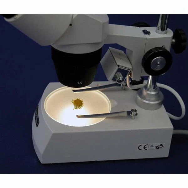 AmScope SE307 Series Multi-Lens Binocular Stereo Microscope 10X-60X Magnification with Angled Rotatable Head, Metal Pillar Stand, Top & Bottom Halogen Lighting - Image 6