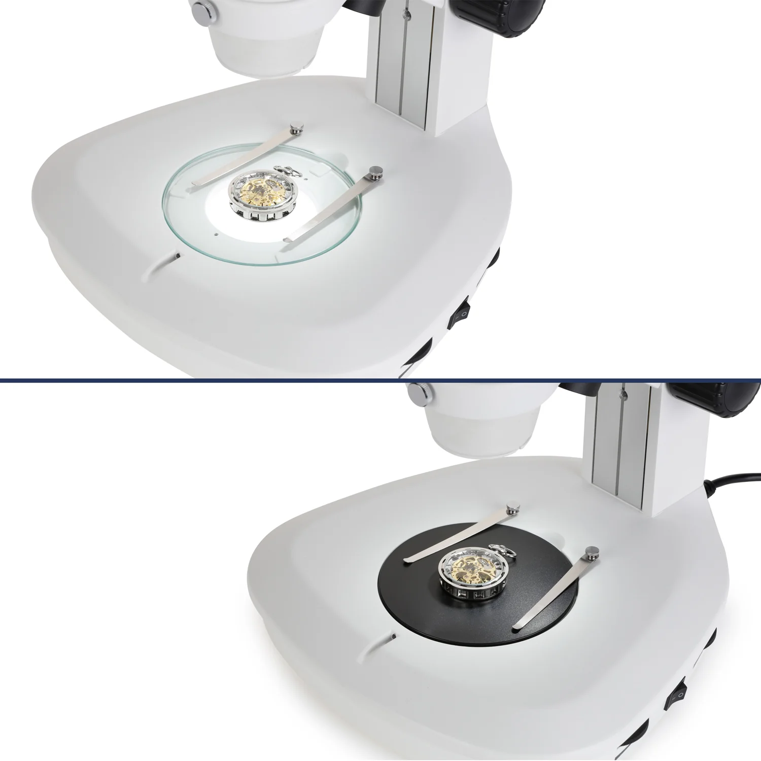 AmScope SF-2T Series Zoom Parfocal Trinocular Stereo Microscope 8X-50X Magnification on Track Stand With Top & Bottom LED Lights - Image 4