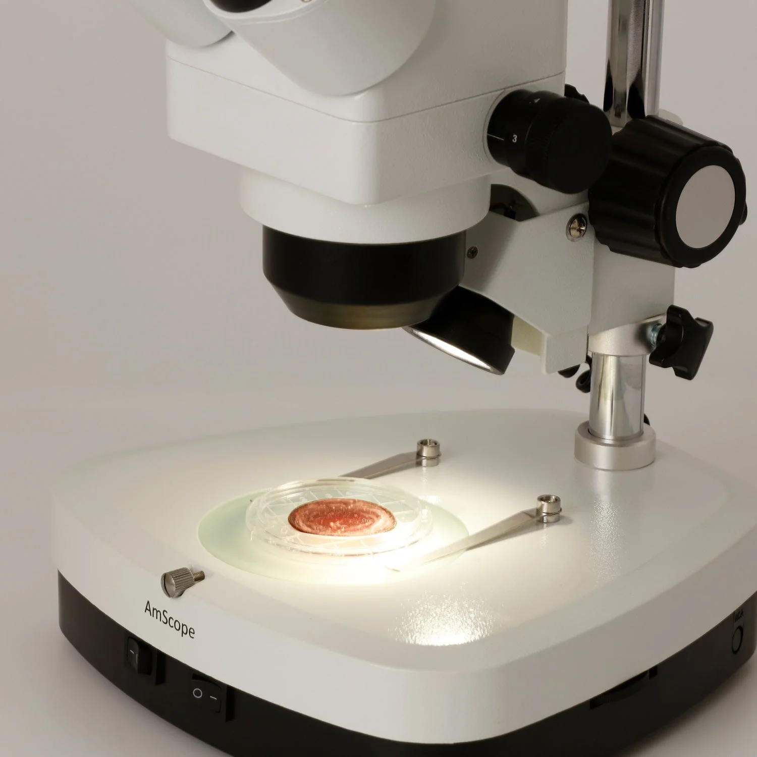 AmScope Outlet 10X-40X Student Trinocular Stereo Zoom Microscope - Image 3
