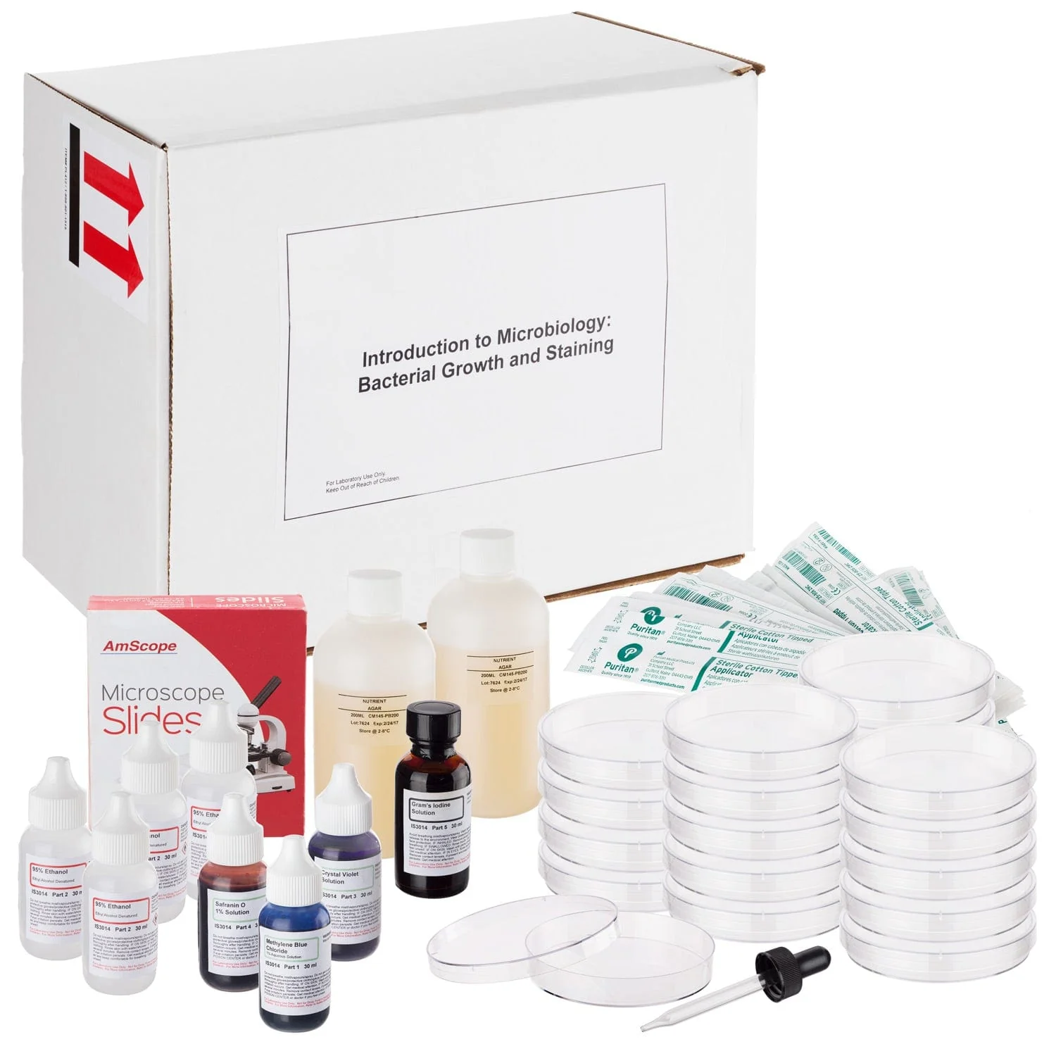AmScope Introduction to Microbiology Bacterial Growth and Staining Kit
