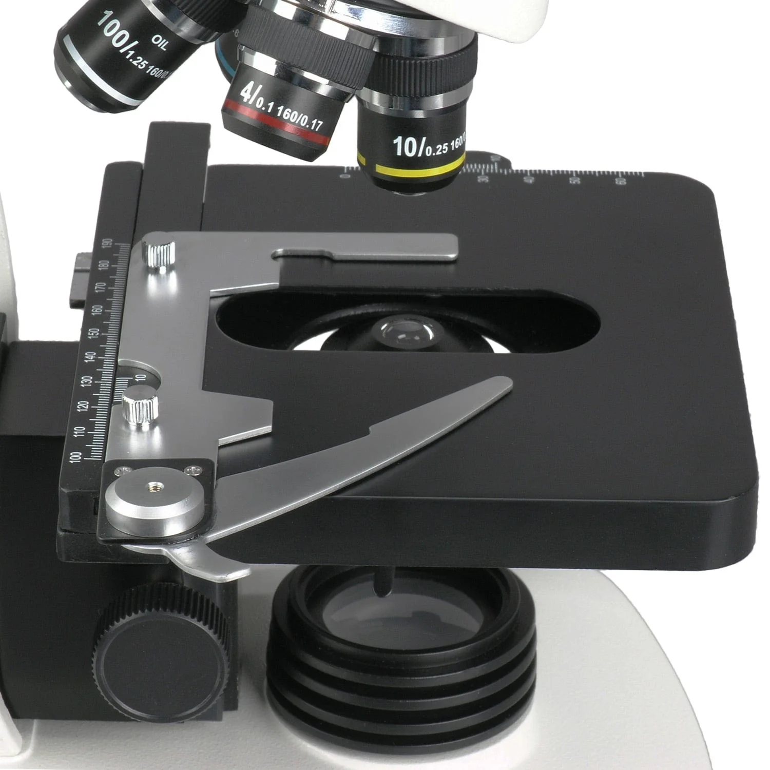 AmScope T340 Series Siedentopf Trinocular Compound Microscope 40X-2000X Magnification with 1.3MP Digital Camera - Image 4