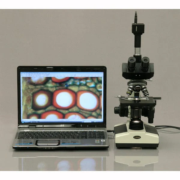 AmScope T390 Series Trinocular Biological Compound Microscope 40X-2500X Magnification with HD Recording Camera - Image 7