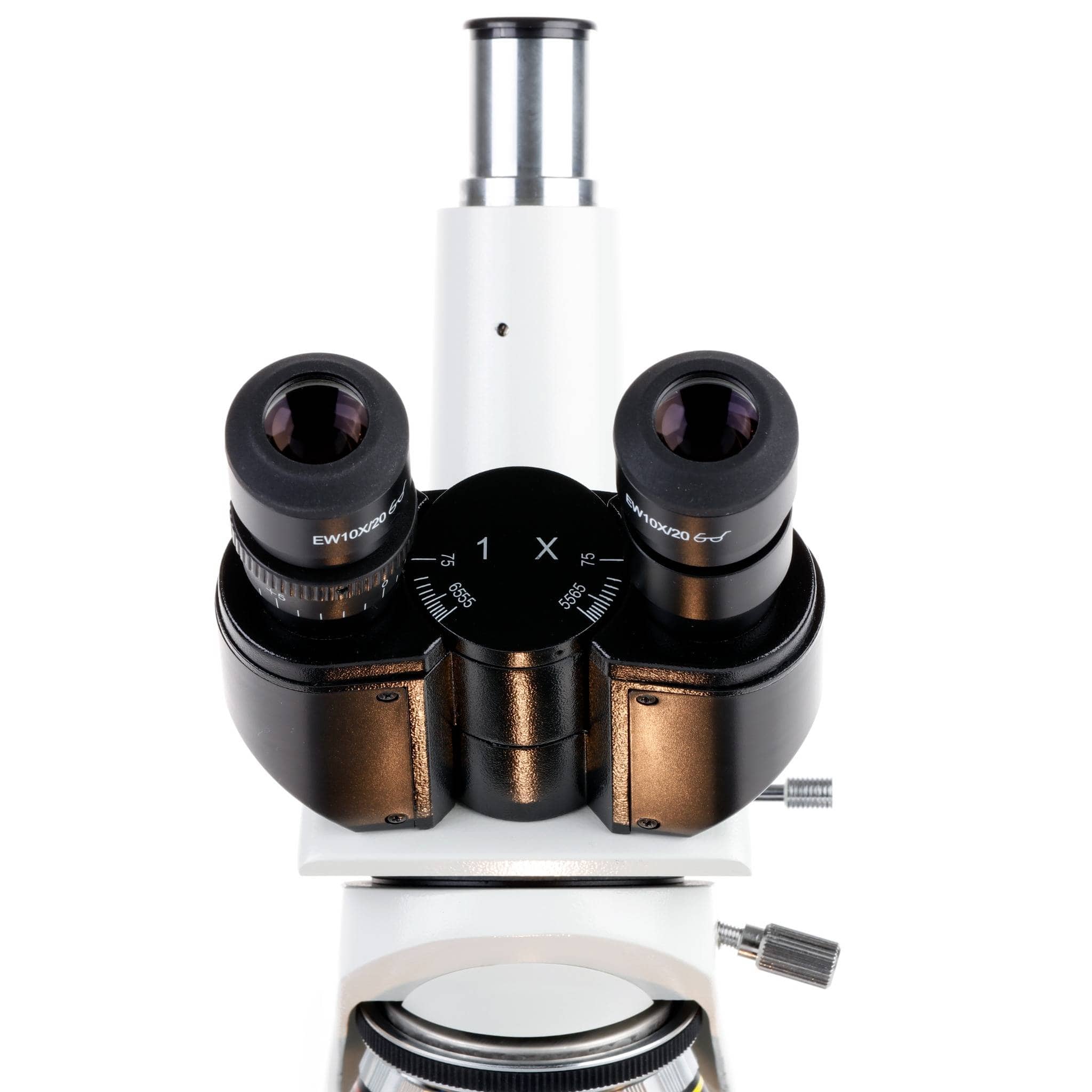 AmScope T590 Series Trinocular Compound Microscope with 20W Halogen, Oil Condenser and Optional Digital Camera - Image 10