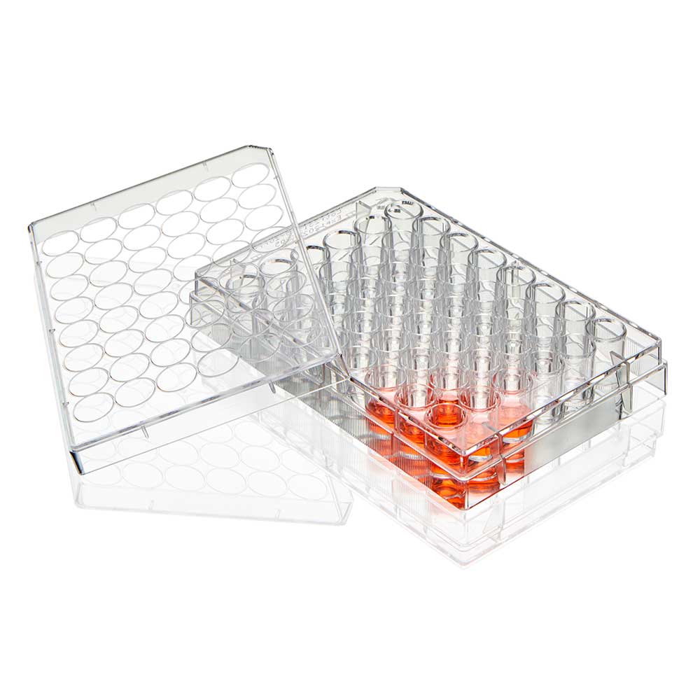 Diamond SureGro Multiple Well Plate, 48 Well, Flat Bottom, Tissue Culture Treated, Sterile, Individually Wrapped