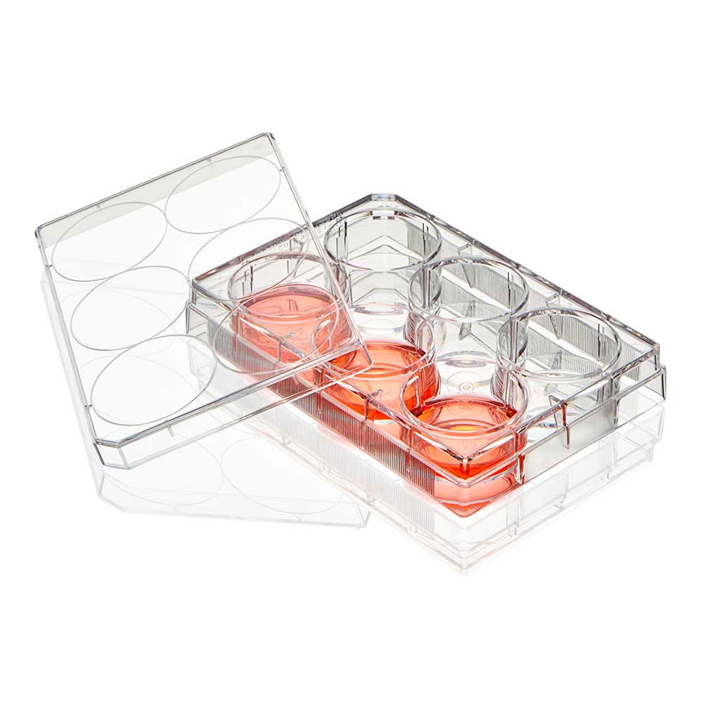 Diamond SureGro Multiple Well Plate, 6 Well, Flat Bottom, Tissue Culture Treated, Sterile, Individually Wrapped