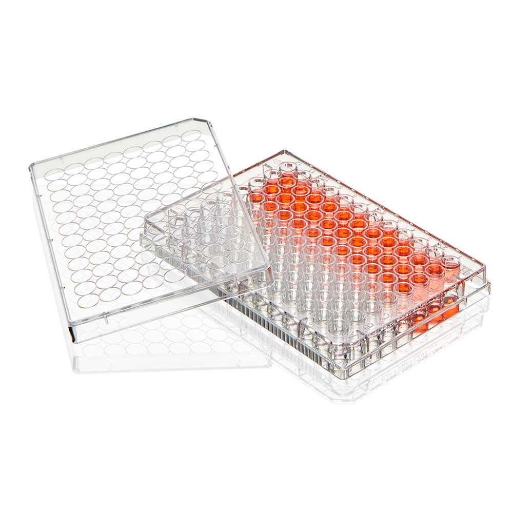 Diamond SureGro Multiple Well Plate, 96 Well, Flat Bottom, Tissue Culture Treated, Sterile, Individually Wrapped