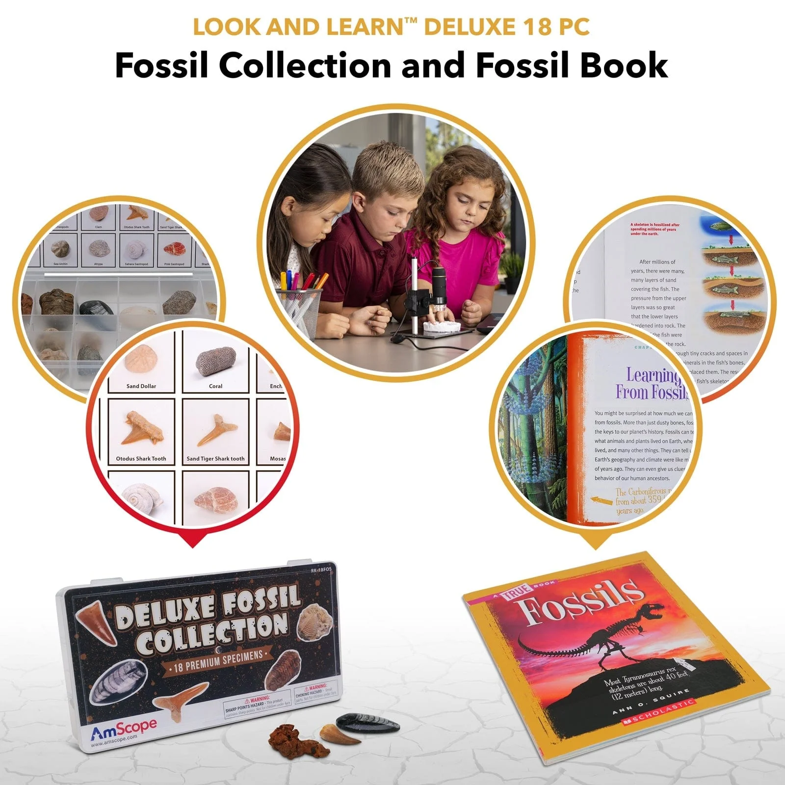 AmScope UTP Series Kid's 0.3MP USB Handheld Digital Microscope 10X-200X Magnification on Pillar Stand with Fossil Collecting Activity Kit - Image 3