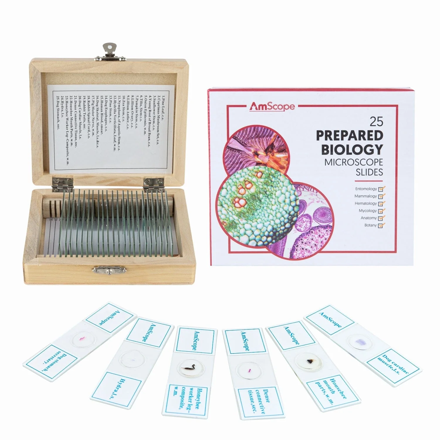 AmScope B120 Binocular Compound Microscope Bundle – 40X–2500X, 3D Stage, Slides, Tweezers & Bonus USB Digital Microscope - Image 4