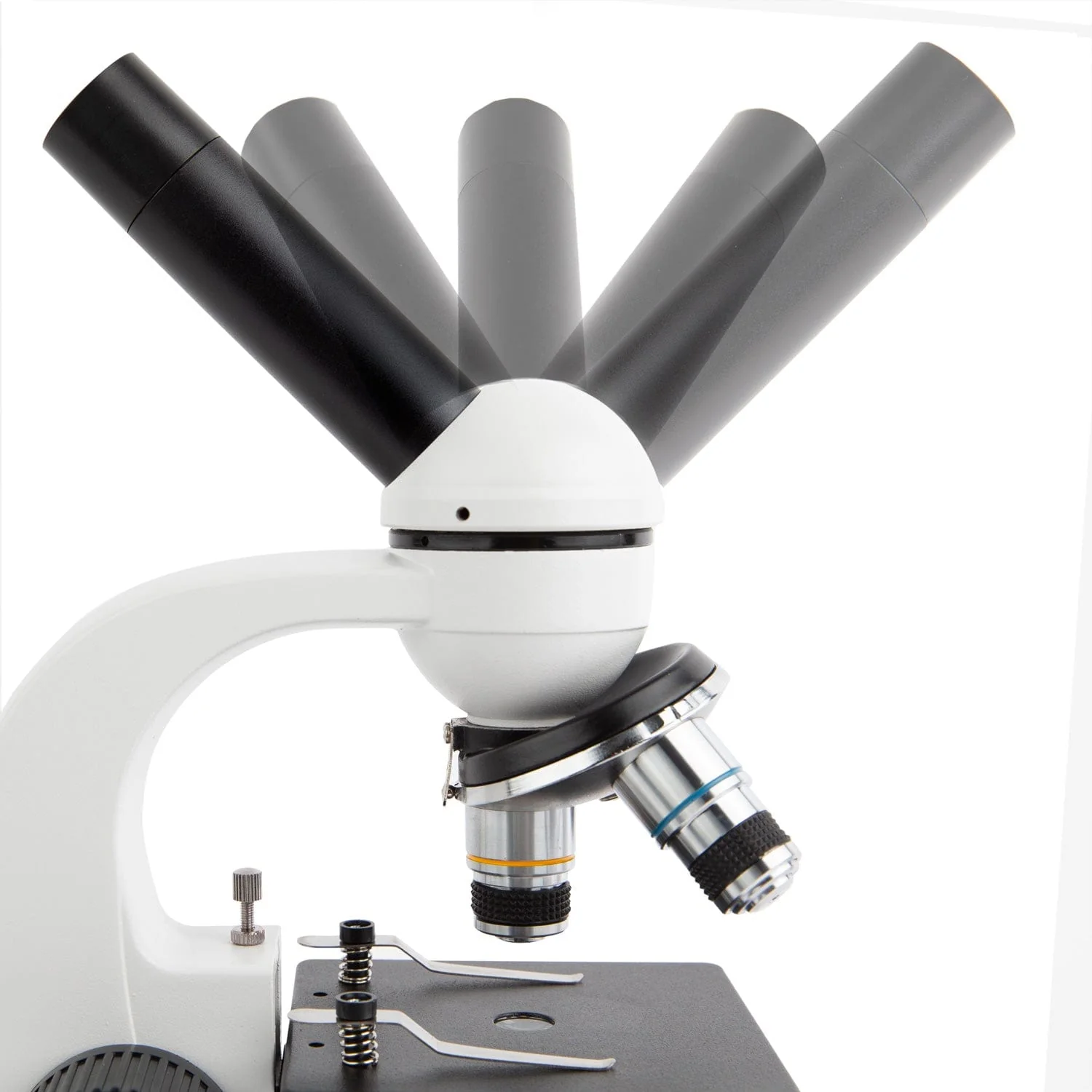 Amscope M158-E1 Monocular Compound Microscope for Kids – 40X–1000X LED Illumination STEM Education Microscopes, Student Lab Microscopes, Biological Science Microscopes - Image 6