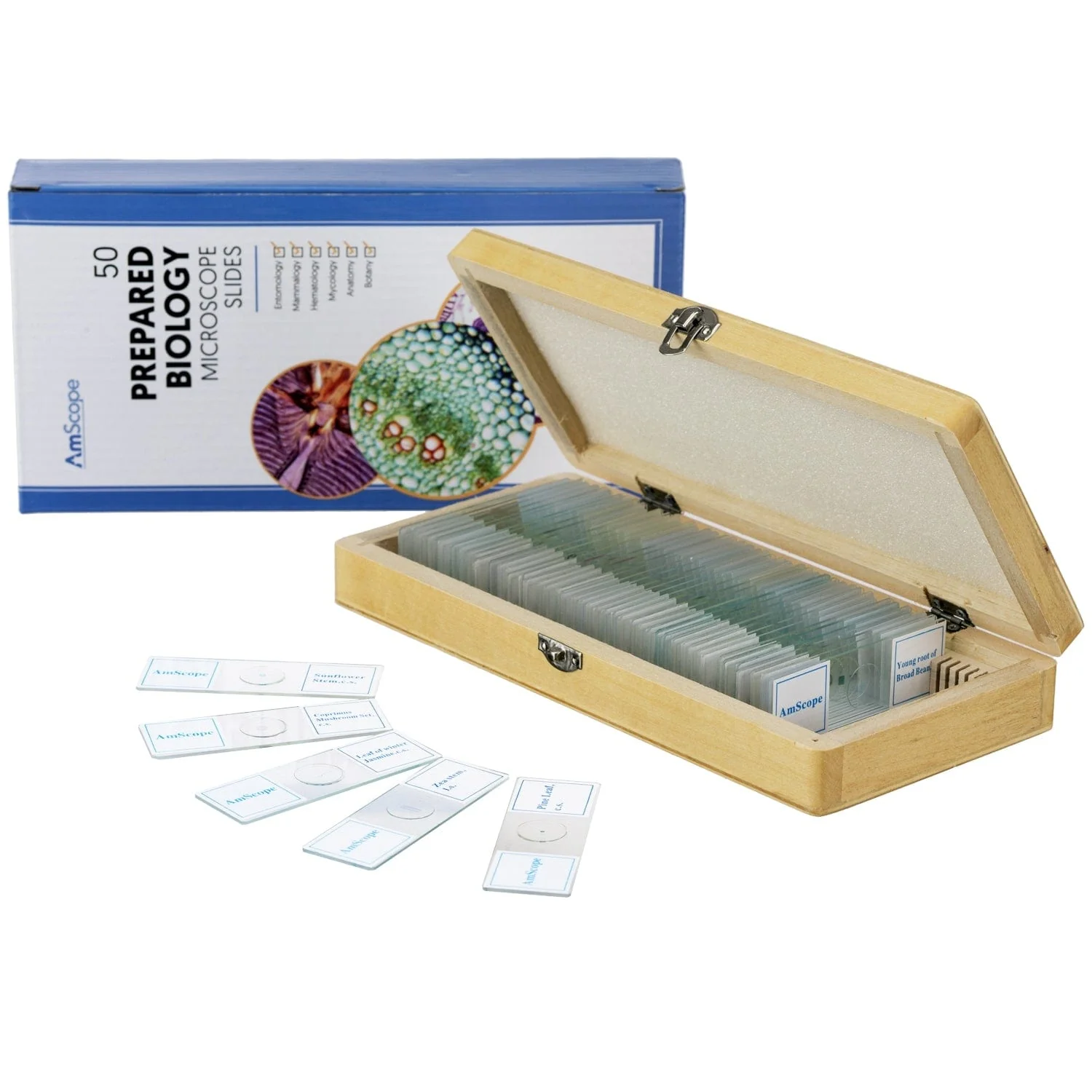 AmScope T250 Series Value Bundle Trinocular Compound Microscope 40X-2500X Magnification with LED, 3D Two-Layer Mechanical Stage, 5MP Digital Camera, 50-Piece Prepared Slides Set, and 3-Piece Precision Tweezers Set - Image 3